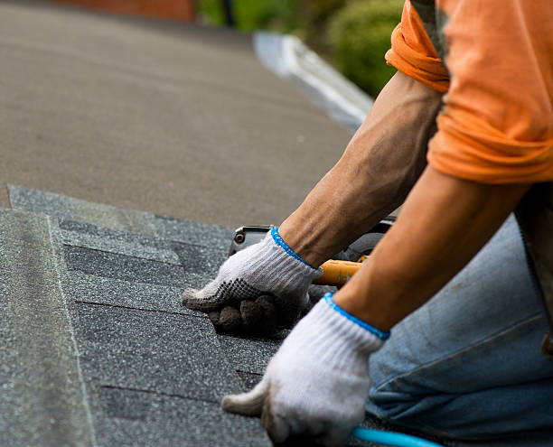 Best Storm Damage Roof Repair  in Mount Carmel, IL