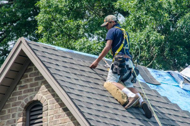 Best Roof Leak Repair  in Mount Carmel, IL